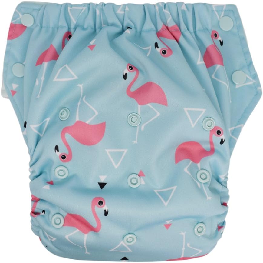 EcoAble Hybrid Cloth Diaper for Potty Training & Swim Use