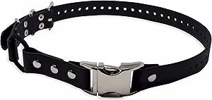 Educator Quick Snap Bungee Dog Collar - Waterproof and Durable