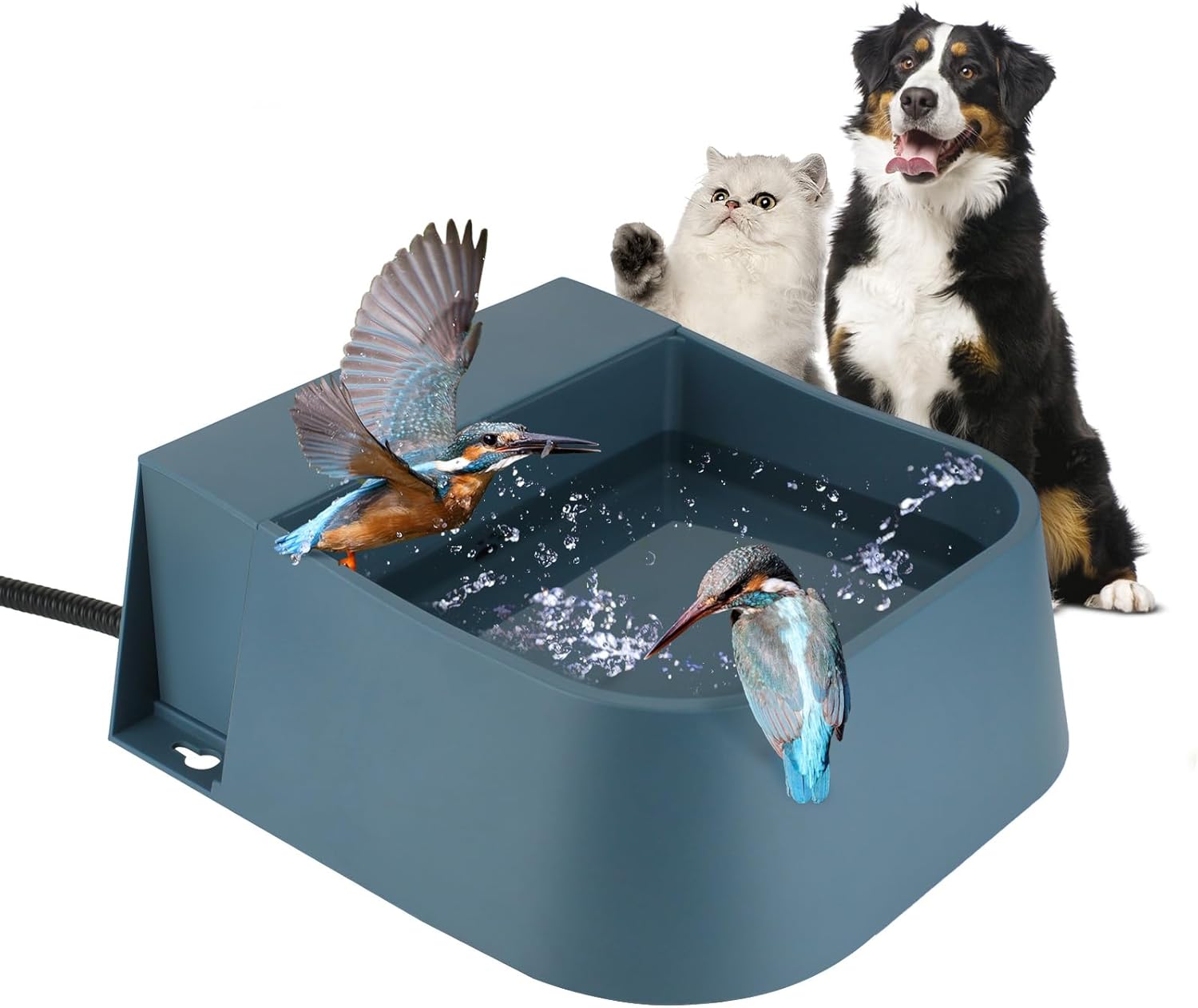 Heated Auto-Fill Waterer: Keep Pets Hydrated!