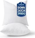 24x24 Pillow Inserts Pack of 2 - Plump Down Alternative for Sofa Bed