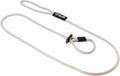 English Slip Dog Lead 1/2 in x 10 ft Silver - Trainer Approved