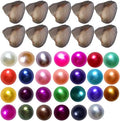 30PCS Freshwater Pearl Oysters for Meaningful DIY Gifts