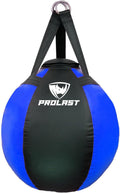 Wrecking Ball Heavy Bag 65 lb Filled - PROLAST Boxing Training