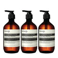 Reverence Aromatique Exfoliating Hand Wash - Gentle Pumice Cleanse