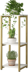 Plant Stand Indoor Corner Tall 3 Tier Metal Modern Plant Shelf