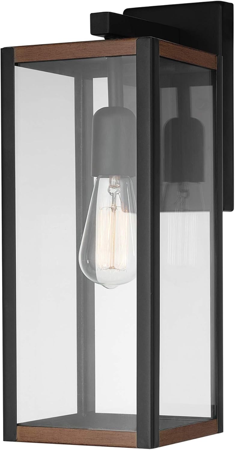 GLOBE Electric 44681 Outdoor Indoor Wall Sconce for Modern Homes