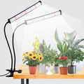 Grow Light 100W 6000K Desktop Clip Lamp - Bright Timer Gooseneck