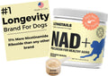 NAD+ Precursor Collagen Dog Supplement for Senior Dogs - Bone Broth NR