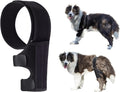 Dog Knee Brace Support for Relieves Joint Pain - Rear Leg ACL Aid