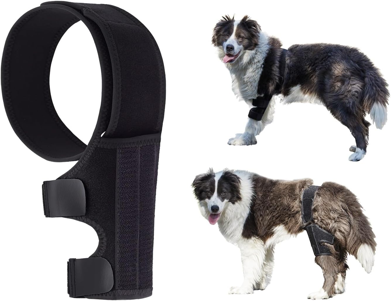 Dog Knee Brace Support for Joint Pain Relief and Recovery