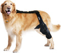 Dog Knee Brace for Torn ACL & Hind Leg Support - 2X-Large