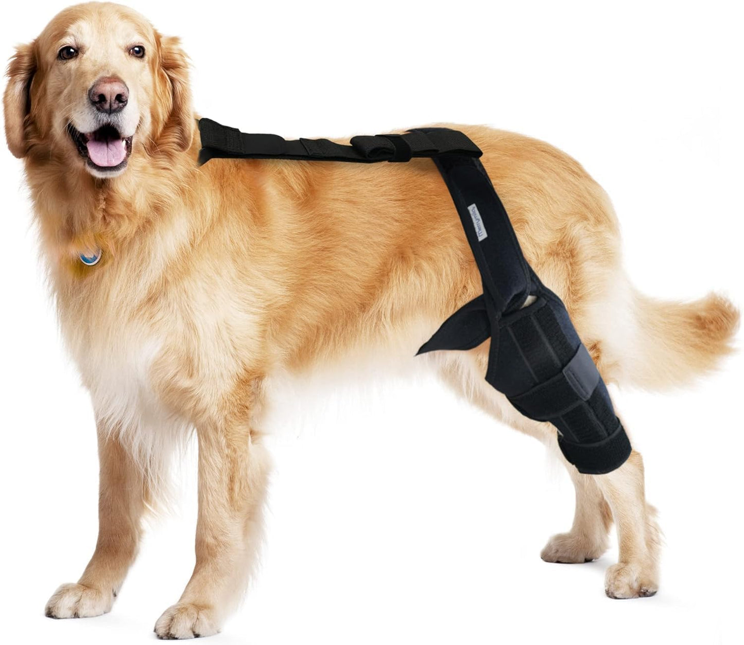 Dog Knee Brace for Torn ACL & Hind Leg Support - Adjustable