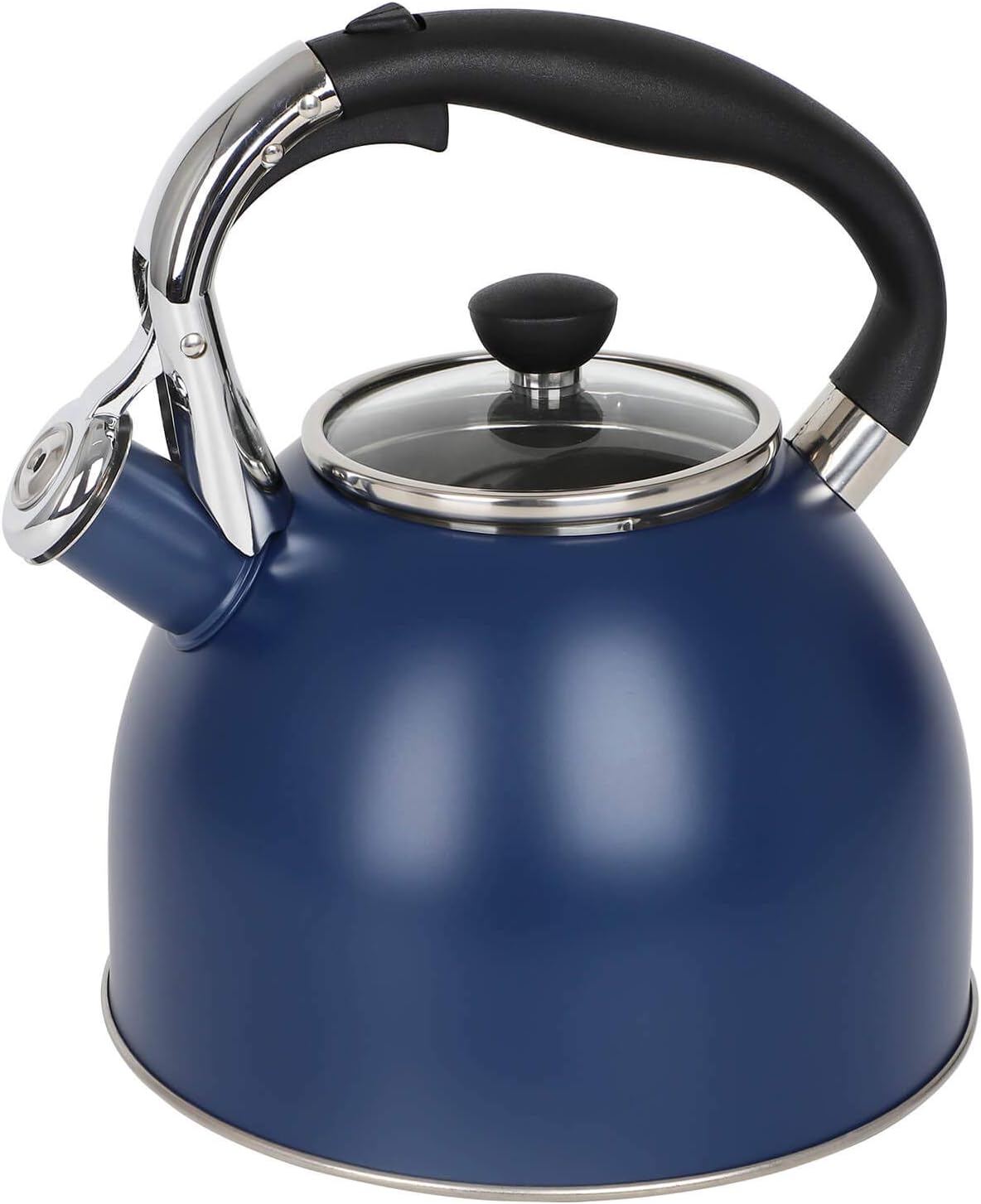 Rorence Stainless Steel Tea Kettle: Whistling 2.6 Quart Design
