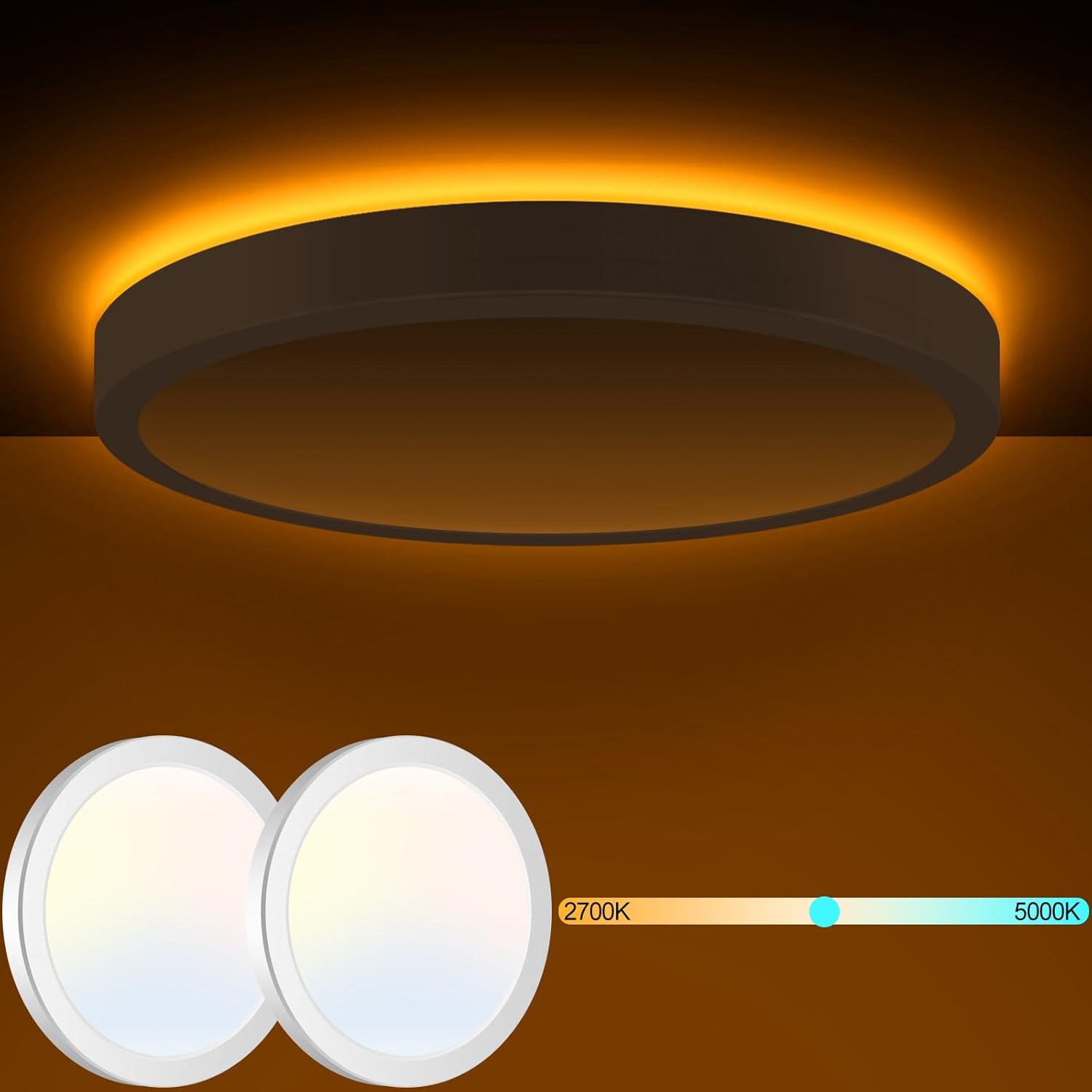 Flush Mount Ceiling Light Fixtures with Night Light Function