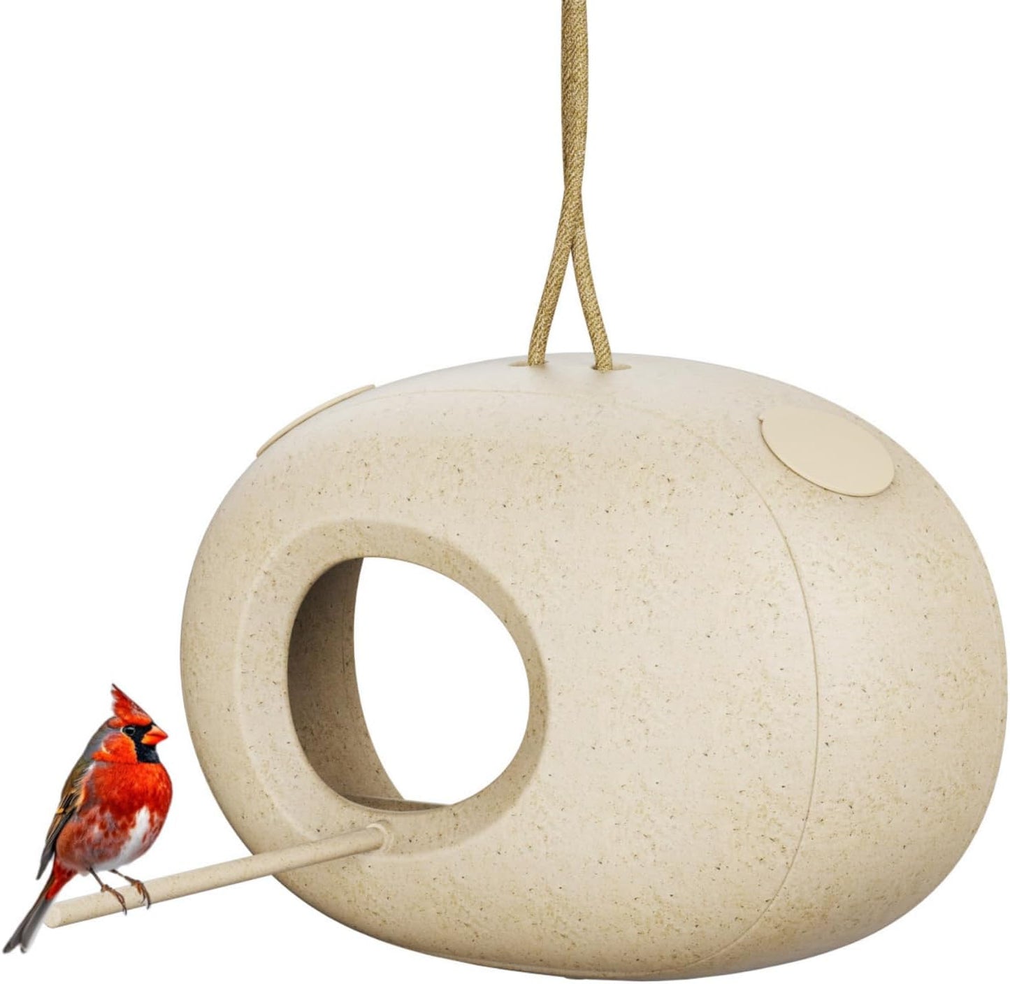 Rocon Eggshell Bird Feeder - Watch Wild Birds Up Close!
