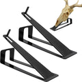 Large European Mount Skull Hanger Table Stand - Secure Trophy Display