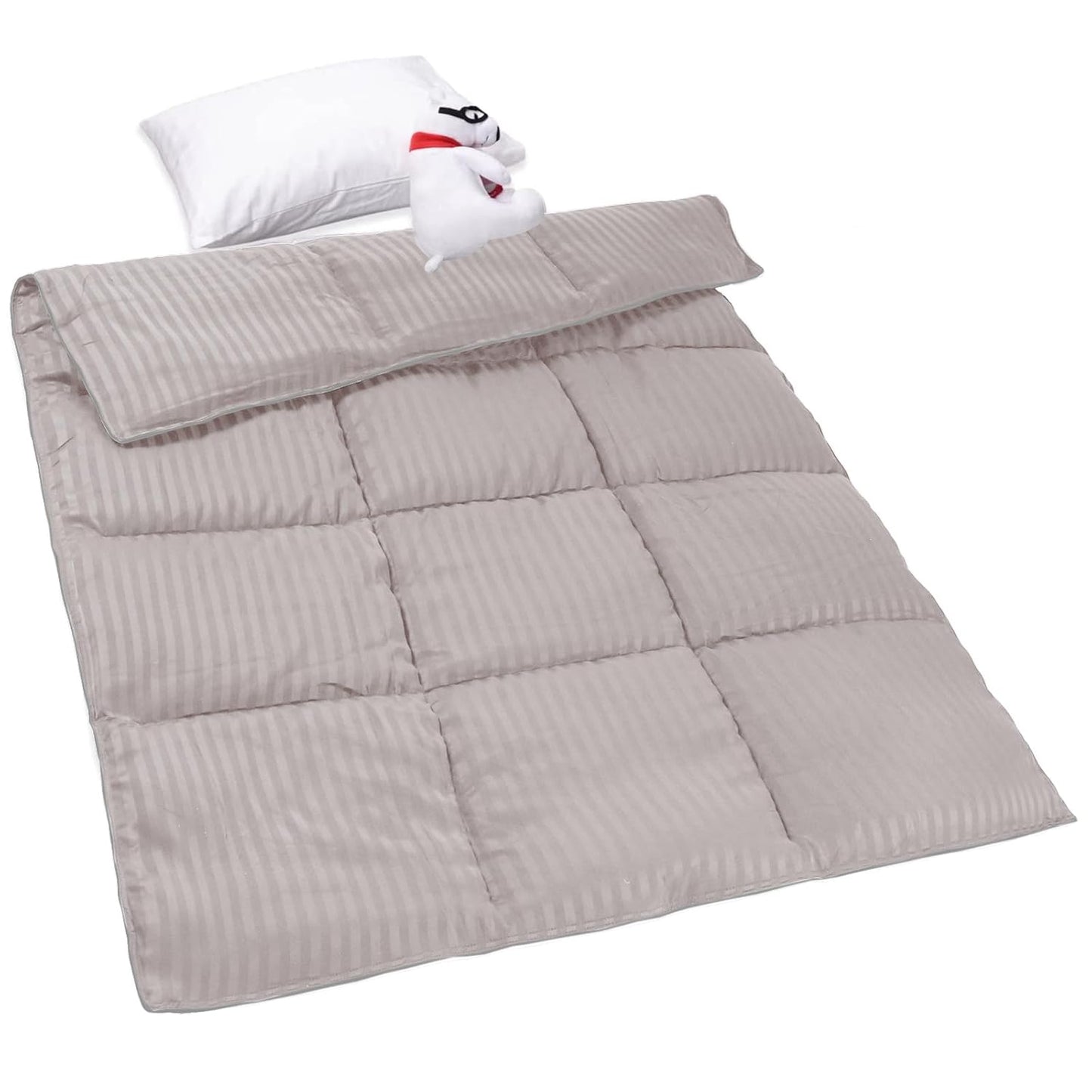 ZPECC Toddler Down Alternative Comforter for All Seasons