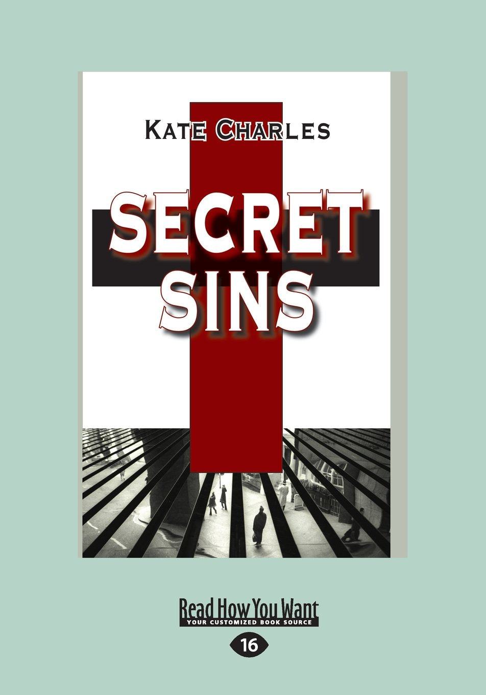 Secret Sins by Kate Charles - A Gripping Mystery Novel