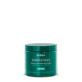 Aveda Botanical Repair Intensive Strengthening Masque - Rich Hair Mask