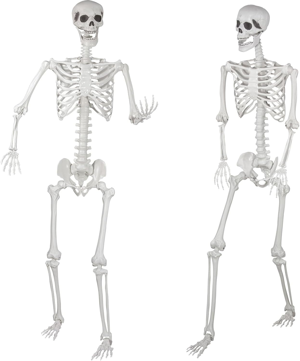 Realistic Life Size Halloween Skeleton for Scary Decorations