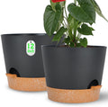 Plant Pots Self Watering Planters with Drainage Hole - Large 12in Set