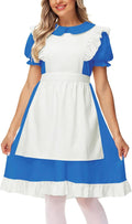 Blue White Maid Princess Dress with Apron - Cute Costume