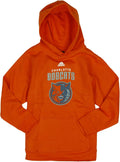 Charlotte Bobcats NBA Big Boys Youth Team Logo Hoodie - Court Ready