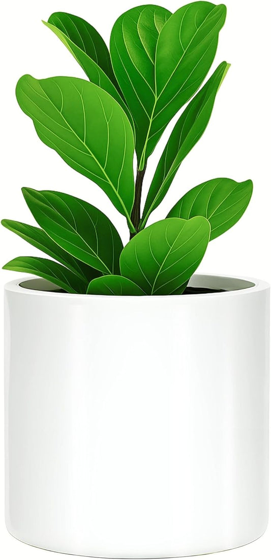 Fox & Fern 10 Inch Plant Pot with Drainage Plug for Your Plants