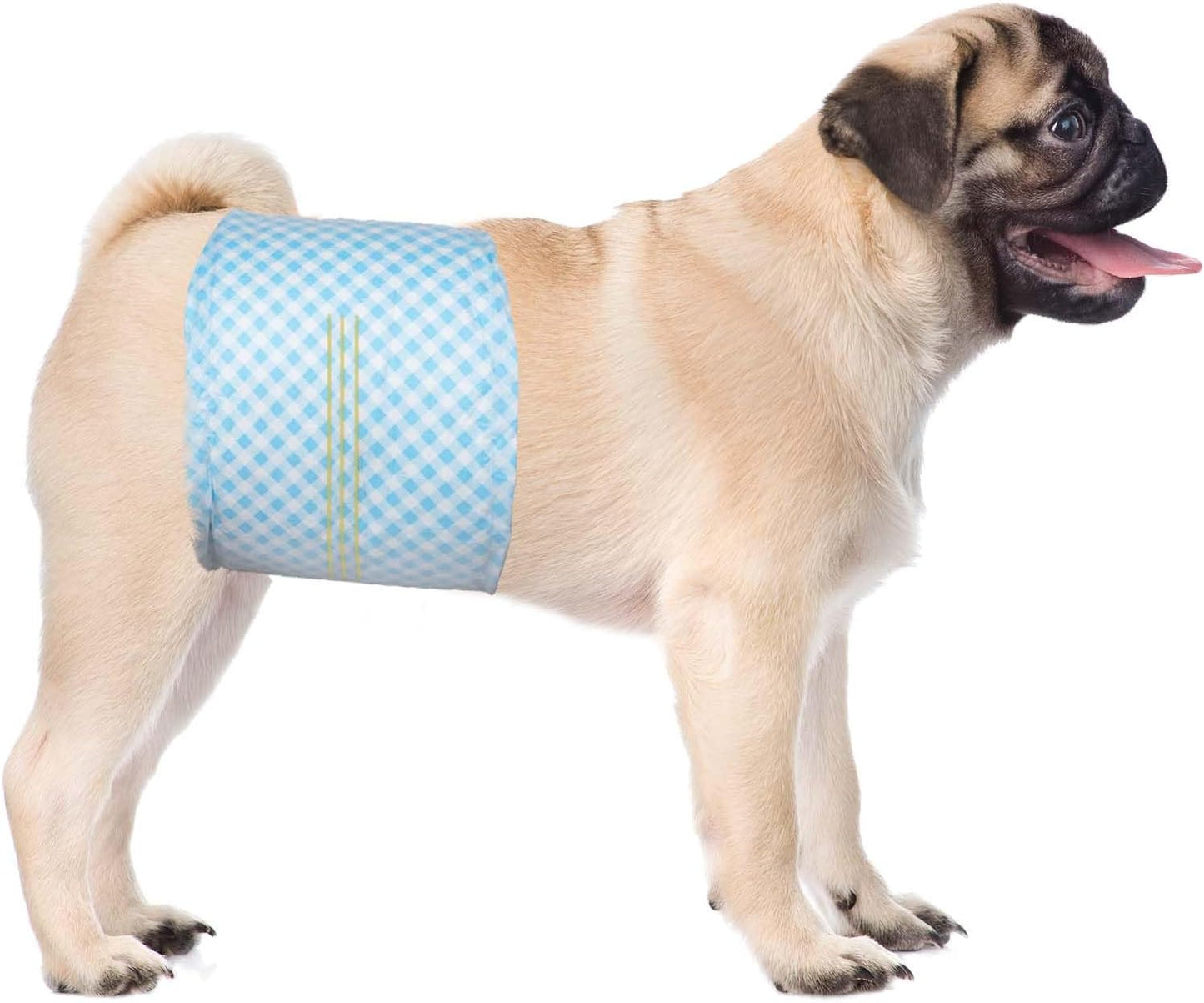 Stay Dry with Flying Paws - Super Absorbent Male Dog Diapers