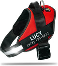 No-Pull Dog Harness XS Red - Personalized Name Patch, Reflective
