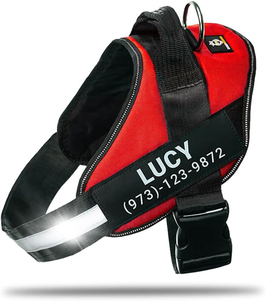 Personalized No-Pull Dog Harness for Safe and Comfortable Walks