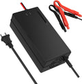 Efficient 36V Golf Cart LiFePO4 Charger