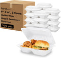Clamshell Take Out Food Containers 9in x 6in 2 Compartments