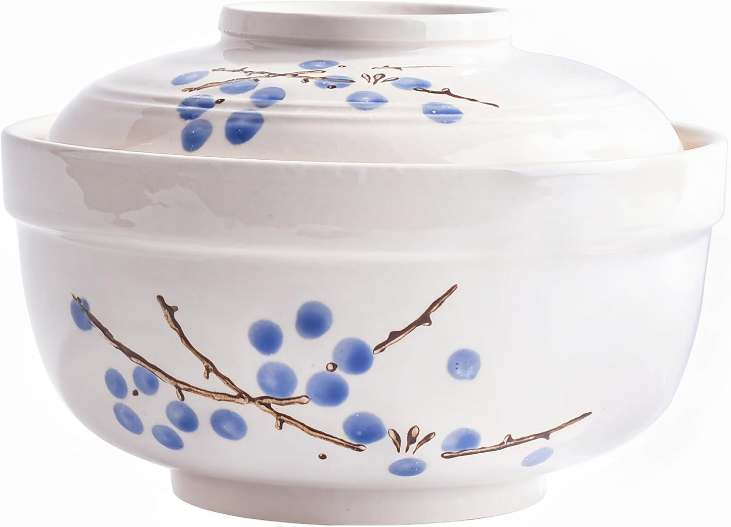 Japanese Ramen Bowl Set: Microwave Safe with Lid