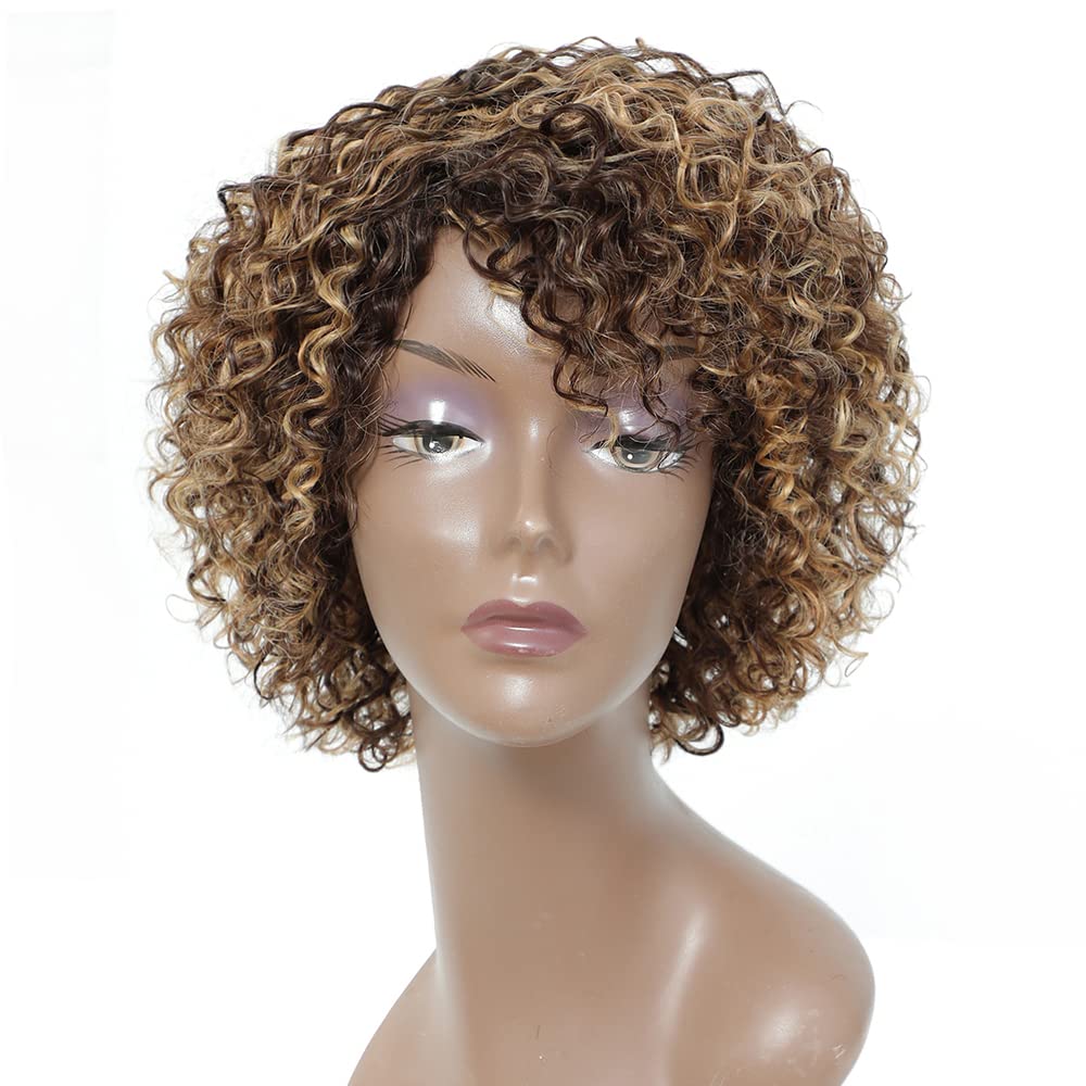 Short Curly Human Hair Wigs for Black Women - Natural Style