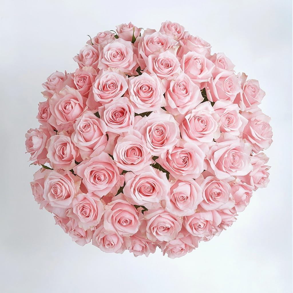 GlobalRose 50 Pink Roses Bouquet for Every Special Occasion