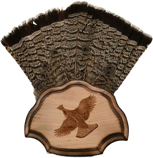 Grouse Plaque - Standard Hardwood for Unique Home Decor