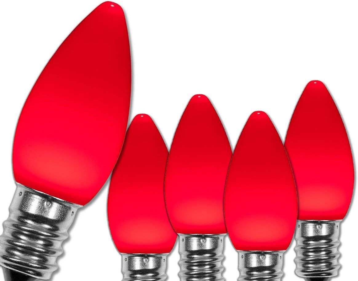 25 Pack Wintergreen Lighting C7 LED Christmas Light Bulbs