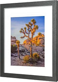 A PLUS MAX Black 20x24 Picture Frame matted to 16x20 - Clean Display