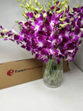 Premium Cut Purple Orchids (30 stems with Vase) - Fresh Bloom