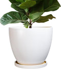 Ceramic Planter 10 in Plant Pot with Drainage and Saucer - Durable