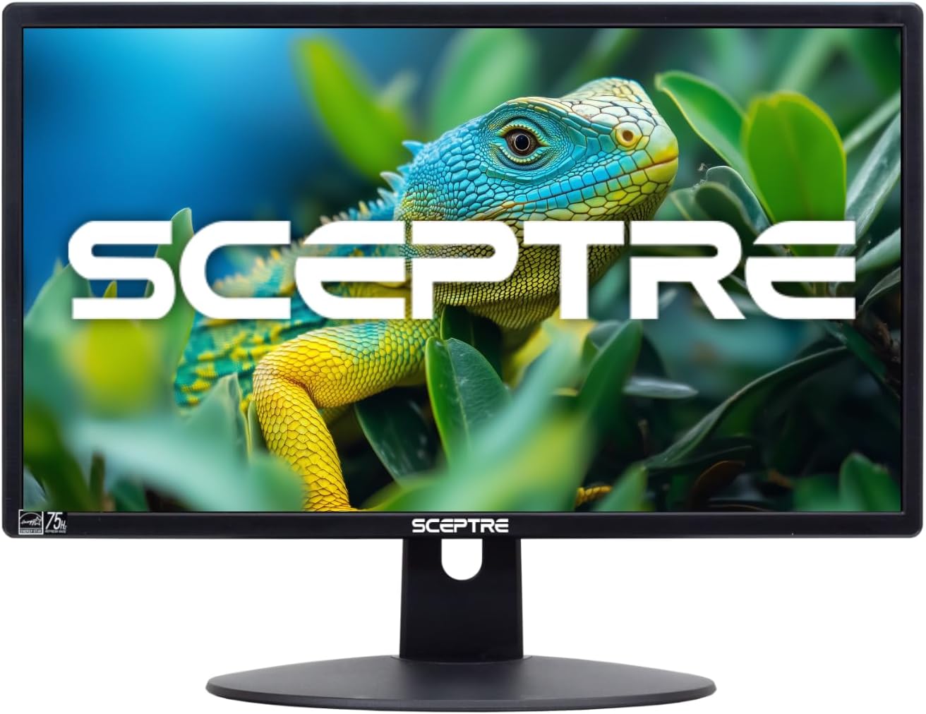 Sceptre New 20-inch Professional Monitor with HDMI and Speakers