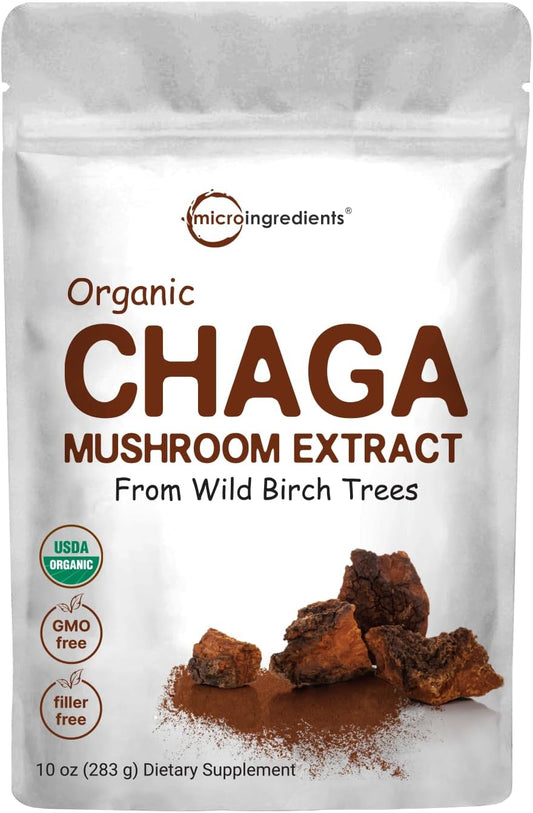 Wild Harvest Chaga Extract Powder - Superfood Boost