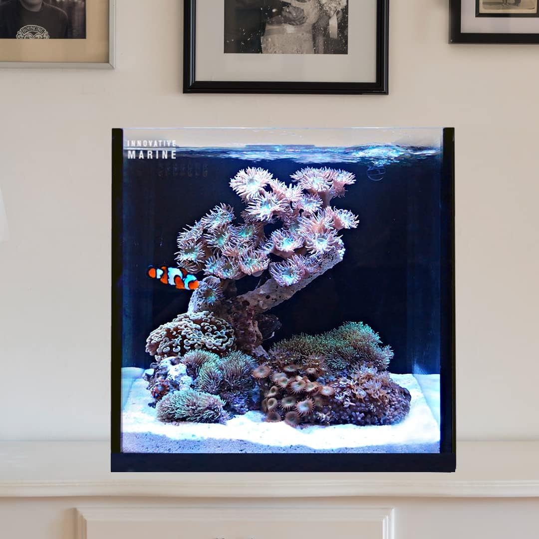 Innovative Marine 15 Gallon Cube Starter Kit for Aquariums