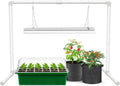 Grow Lights for Seed Starting with Stand - 2ft Full Spectrum T5