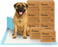 2XL Puppy Pads by PETSWORLD - Ultra-Absorbent Dog Pee Pads