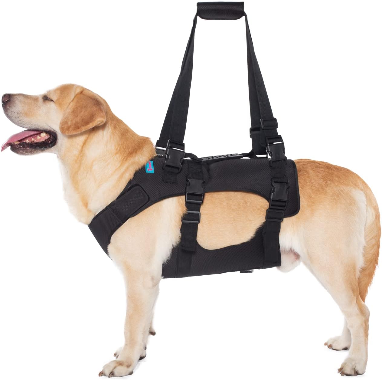 Dog Lift Harness for Rehabilitation and Support for Dogs