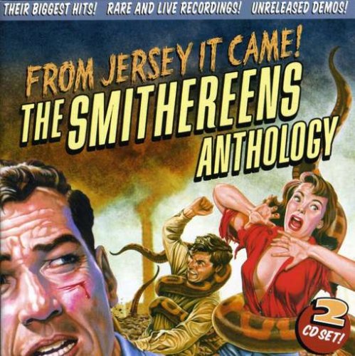 From Jersey It Came! The Smithereens Anthology - A Musical Journey