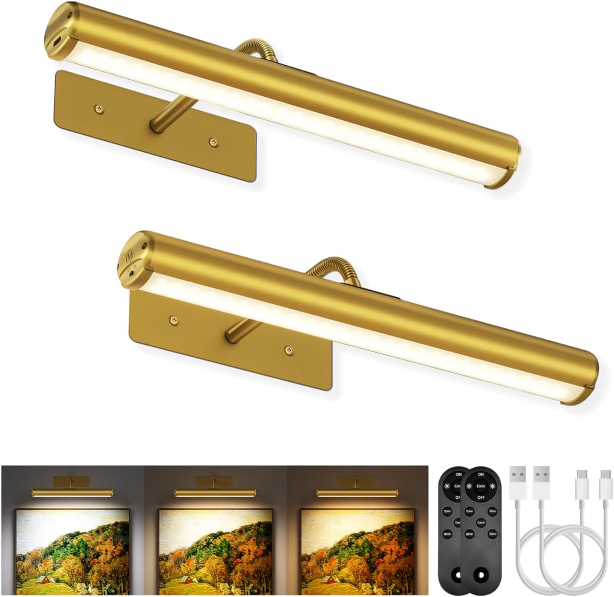 EZVALO Picture Lights for Wall - Elegant Art Lighting Solution