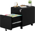 2 Drawer File Cabinet with Lock and 4 Keys - Mobile Metal Filing
